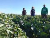 Jornada uso de biofertilizantes y manejo de la biodiversidad para mejorar la sostebibilidad de los sistemas hortcolas