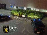 La Policía Local desmantela un cultivo de más de 300 plantas de marihuana en una vivienda de la pedanía de Marchena