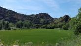 Ingeniera forestal: una profesin con un presente slido y un futuro prometedor