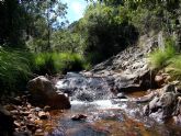 La recuperacin de la biodiversidad de los ros europeos se ha estancado desde 2010