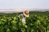 Prcticas sostenibles: as le planta cara al cambio climtico el Marco de Jerez