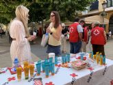 Campana de concienciacin ciudadana para evitar golpes de calor