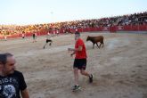 Multitudinaria suelta de vaquillas en las fiestas de Las Torres de Cotillas