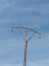 La CHS instalar medidas protectoras para las aves en las lneas elctricas del postrasvase Tajo-Segura