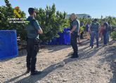 La Guardia Civil inspecciona cerca de una treintena de explotaciones agrícolas y detiene/investiga a 16 personas por emplear a trabajadores extranjeros de forma irregular