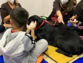 La Ctedra Animales y Sociedad inicia un programa de intervencin asistida con perros para la Fundacin Murallas de Algodn de Madrid