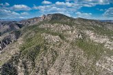 La Comunidad concluye la planificación de la gestión forestal sostenible de 17.140 hectáreas de los montes públicos de la Región