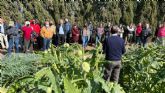 X jornada tcnica sobre el cultivo de la alcachofa