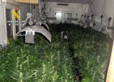 La Guardia Civil desmantela un grupo delictivo que cultivaba y distribuía gran cantidad de marihuana