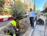 Ballesta simbolizar las Tres Culturas que dan origen a Murcia en los nuevos accesos a la ciudad por Ronda Norte y Primo de Rivera