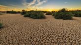 Día Internacional Contra el Cambio Climático