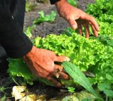 Unin de Uniones espera que se materialice la compensacin a los agricultores por los efectos negativos de la rebaja del IVA de los alimentos