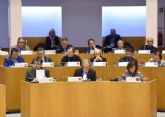 La Asamblea continuar coordinando el Grupo de Igualdad de Gnero de los Parlamentos europeos, para el que consigue el carcter de Permanente por unanimidad