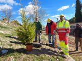 Con la plantacin de ms de 400 rboles y arbustos en los 'Caminos Rojos', finaliza el programa que durante cuatro meses ha trabajado en la limpieza