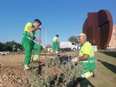 La rotonda de Media Markt se incorpora a los 50 jardines controlados por el sistema de riego inteligente para optimizar el agua en Murcia