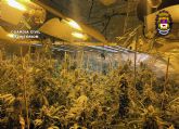 Desmantelan una casa-invernadero con ms de 11 kilos de cannabis en la pedana caravaquena de La Encarnacin