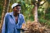 Un espanol revoluciona los proyectos de reforestacin eliminando el uso de plstico del proceso