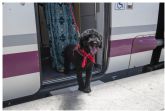 Purina y RENFE: se podr viajar con mascotas hasta 10kg en los trenes AVLO de alta velocidad