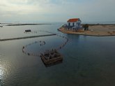 El Consejo Asesor Regional de Medio Ambiente da luz verde a la constitución del Consejo del Mar Menor y al Comité de Asesoramiento Científico