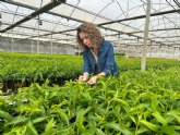 Viveros Hernandorena, pioneros en el control biolgico en vivero de frutales