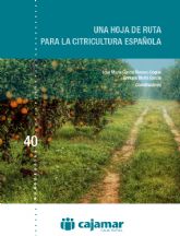 Cajamar plantea una hoja de ruta para el sector de los ctricos en España