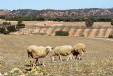 AEVAE ampla su autorizacin a todo tipo de envases del sector agrcola y ganadero