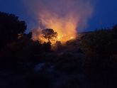 Un incendio arrasa unos 2.500 metros cuadrados de monte bajo y pinos en Carraclaca en Lorca