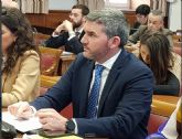 El PP exige en el Senado el 'riguroso cumplimiento' de las medidas fitosanitarias en la importacin de ctricos