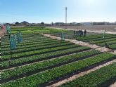 Pop Vriend Seeds demuestra en Murcia su liderazgo en 'baby leaf'