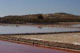 Mejora de la zona del Humedal de las Salinas del Rasall en el Parque Regional de Calblanque