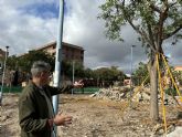 El Ayuntamiento se ve obligado a talar las once tipuanas de la plaza de la Estación ante el riesgo de caída