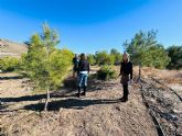 El Ayuntamiento realiza trabajos de mejora de zonas verdes en las pedanas de Zarcilla de Ramos y La Paca