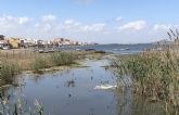 MC denuncia el abandono de las localidades cartageneras del Mar Menor MC denuncia el abandono de las localidades cartageneras del Mar Menor