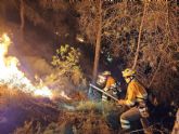 El operativo del Plan Infomur estabiliza el incendio forestal en pleno corazón del Parque Regional del Valle y Carrascoy