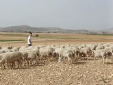 La Comunidad abona 4,8 millones de euros a m�s de 200 j�venes agricultores de la Regi�n de Murcia