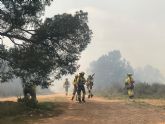 El dispositivo de emergencias con 225 efectivos consigue controlar el incendio forestal de Aledo en menos de 24 horas El dispositivo de emergencias con 225 efectivos consigue controlar el incendio forestal de Aledo en menos de 24 horas