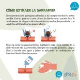 Aumentan los casos debido a la proliferación de garrapatas