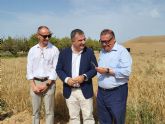 El sector de la agroalimentacin lidera los proyectos de I+D+i de la Regin de Murcia