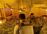 La Guardia Civil desmantela un invernadero de marihuana tipo indoor en Fortuna