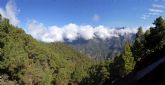 Canarias activa el céntimo forestal para crear un fondo específico de lucha contra el cambio climático