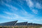 Paneles solares: solución energética sostenible y económica