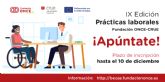 Las universidades de la Regin de Murcia ofrecen 20 becas de prcticas laborales para personas con discapacidad